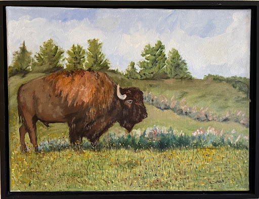 Buffalo Yellowstone