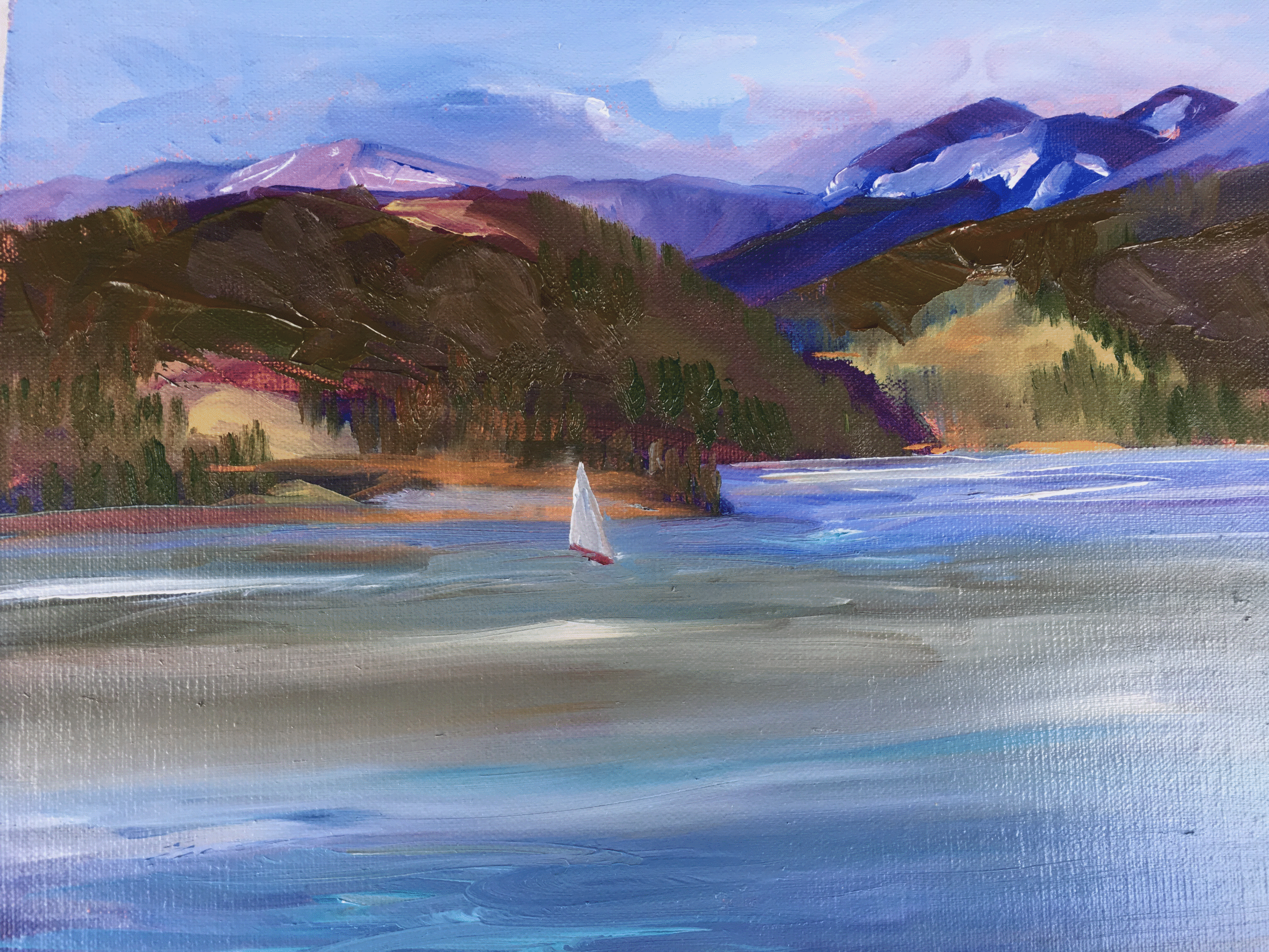 Sailing in Frisco