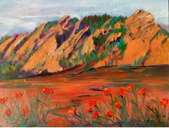 Blooming Poppies